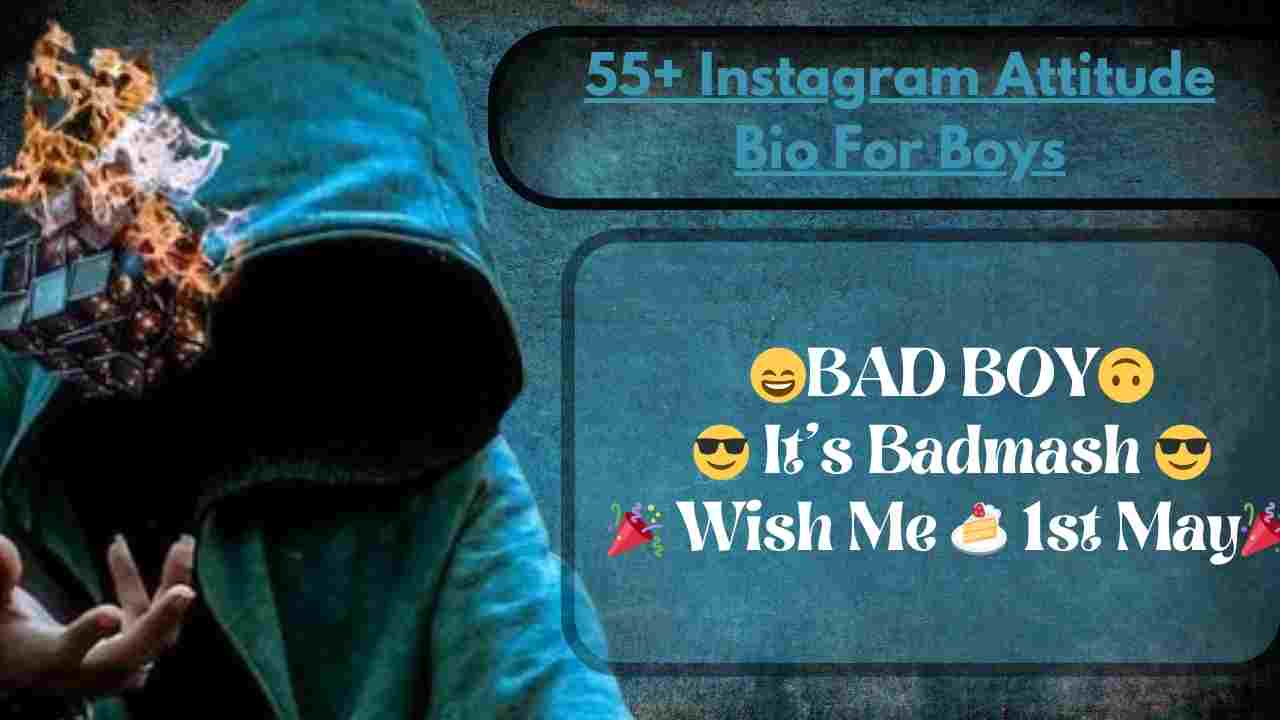 55+ Instagram Attitude Bio For Boys