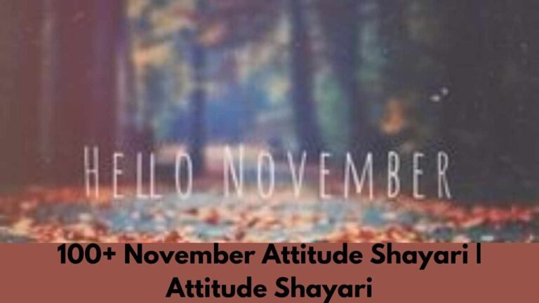 100+ November Attitude Shayari | Attitude Shayari