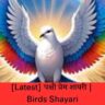 [Latest] पक्षी प्रेम शायरी | Birds Shayari