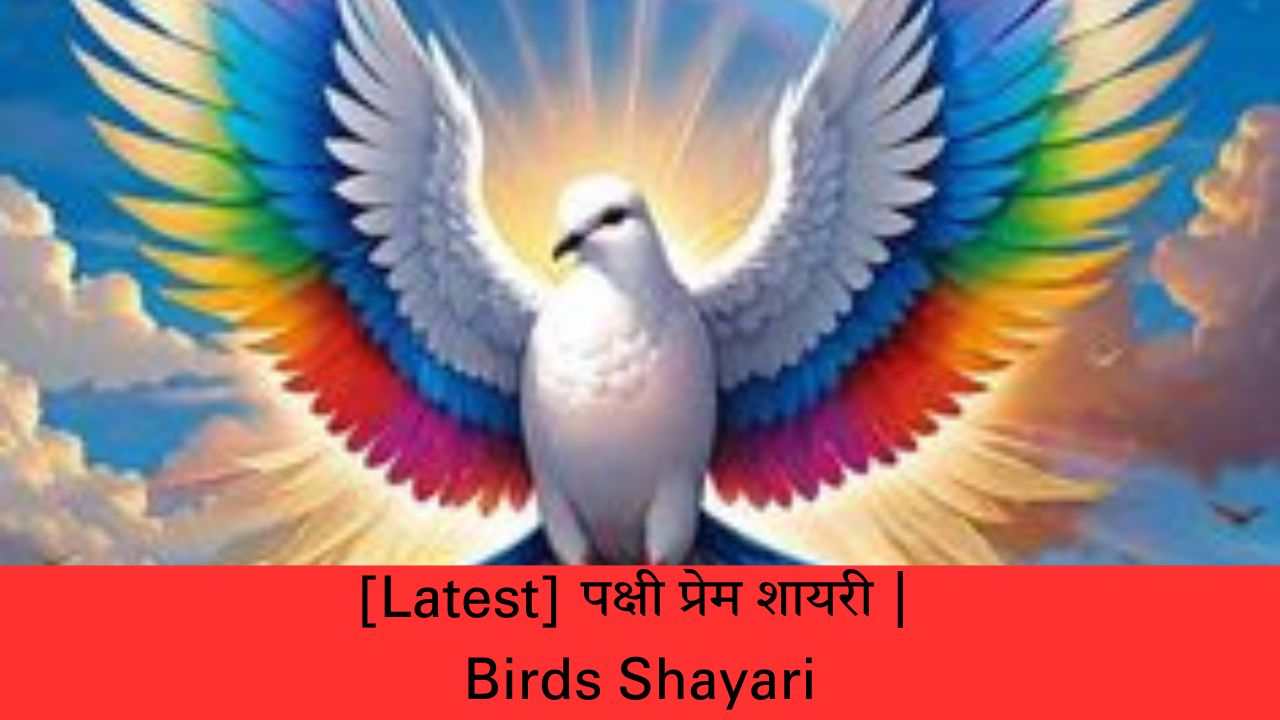 [Latest] पक्षी प्रेम शायरी | Birds Shayari