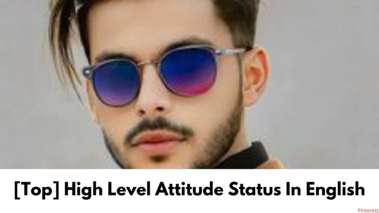 [Top] High Level Attitude Status In English