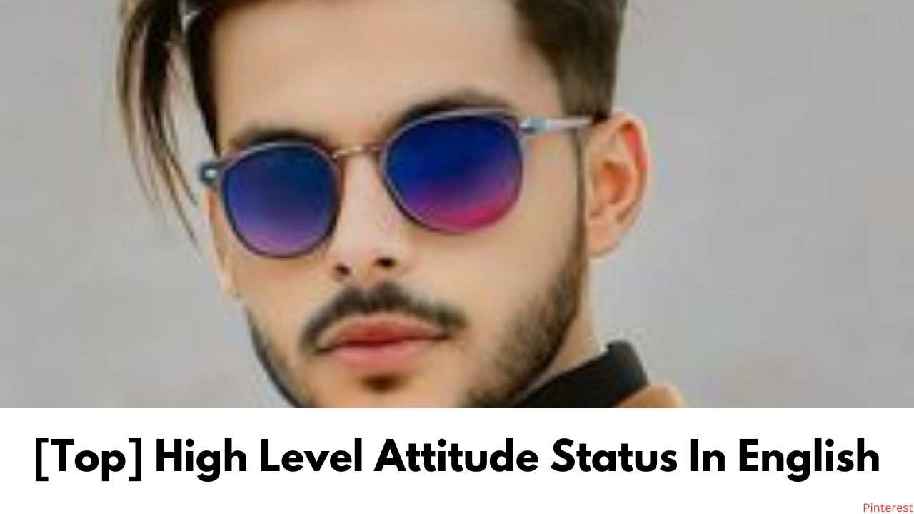 [Top] High Level Attitude Status In English