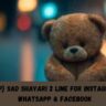 {TOP} Sad Shayari 2 Line For Instagram , WhatsApp & Facebook